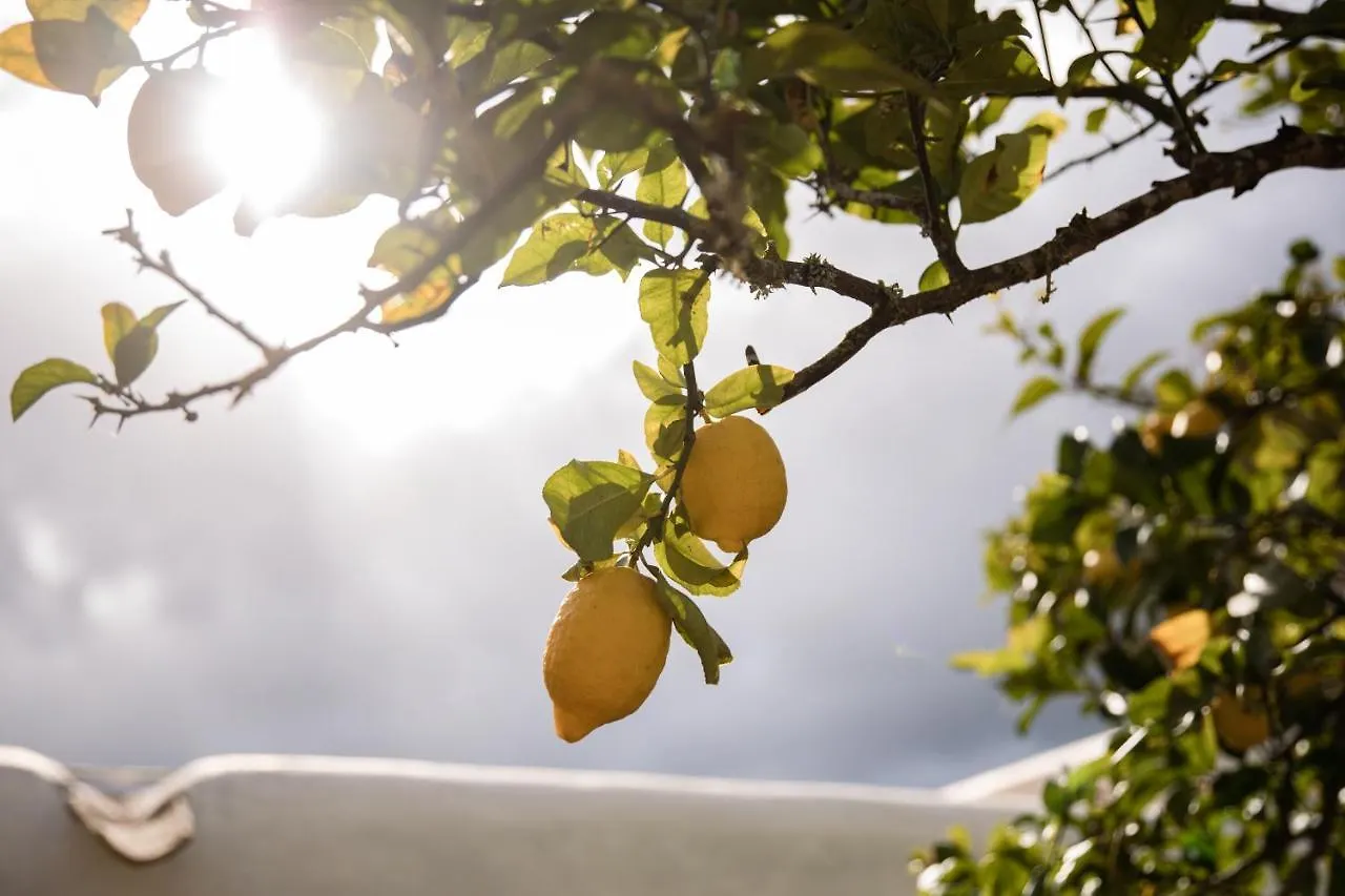 Nyaraló Casa Rural Can Rotes Con Jardin Y Barbacoa Sant Joan de Labritja